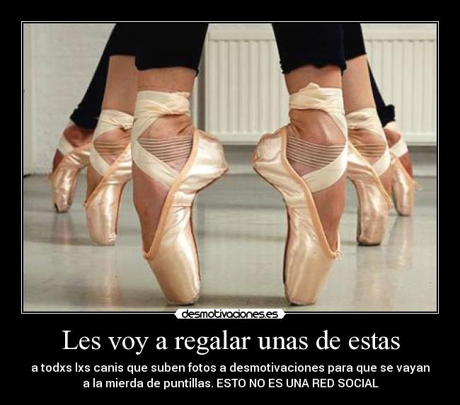 Les voy a regalar unas de estas - 