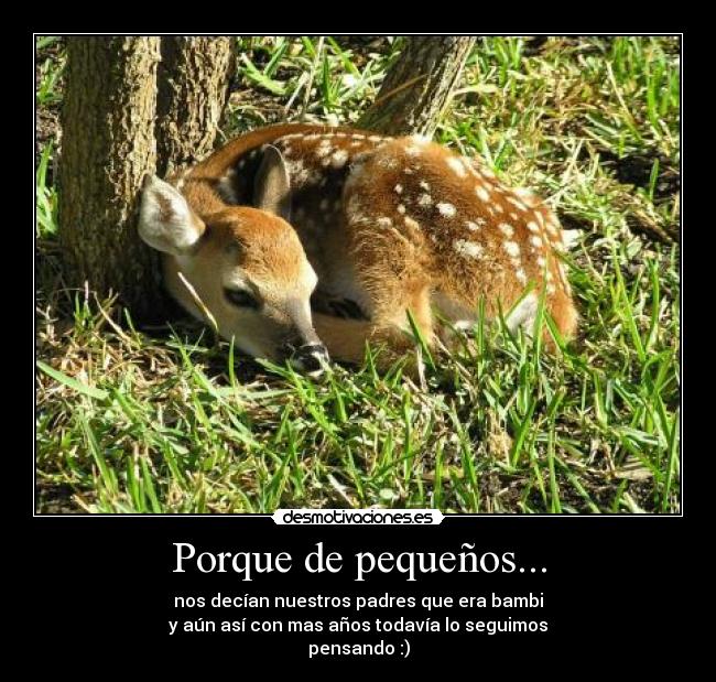 carteles animales desmotivaciones