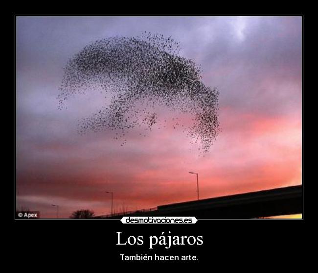 Los pájaros -