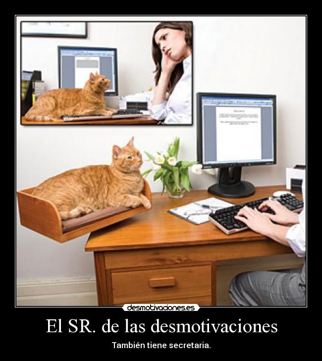 El SR. de las desmotivaciones - También tiene secretaria.