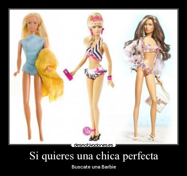Si quieres una chica perfecta - 