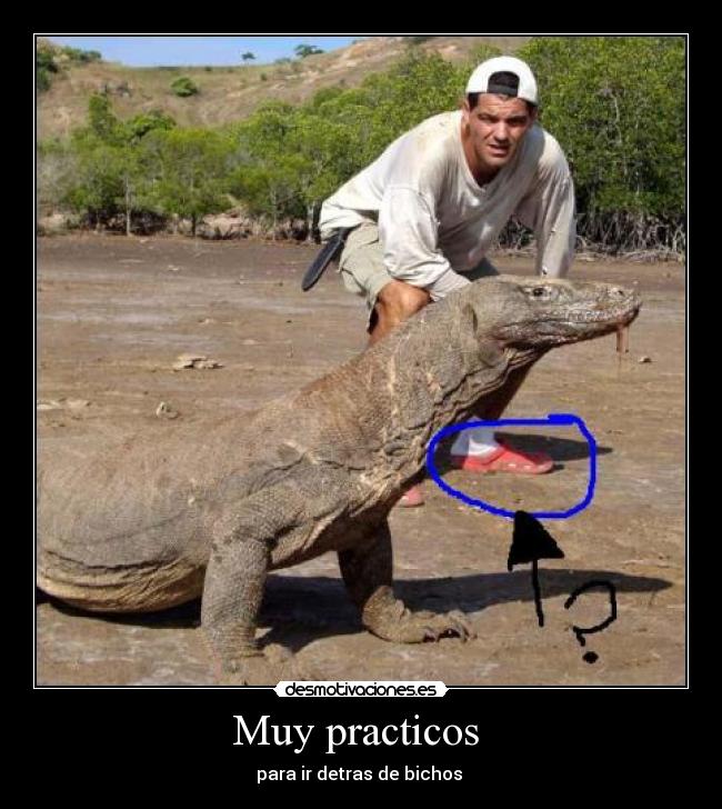 Muy practicos  - para ir detras de bichos 