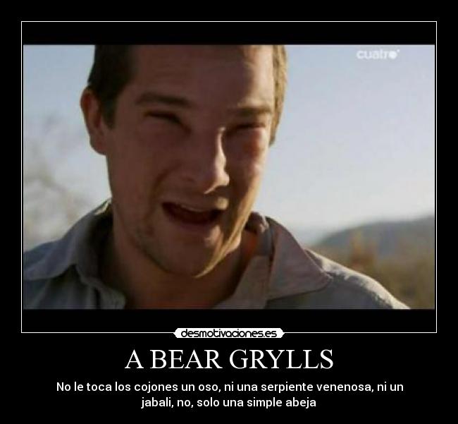 A BEAR GRYLLS -