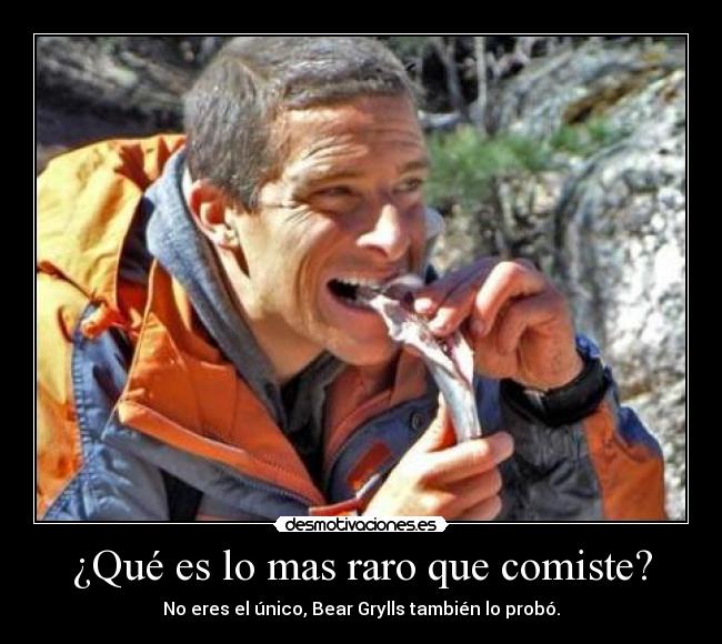 ¿Qué es lo mas raro que comiste? - No eres el único, Bear Grylls también lo probó.