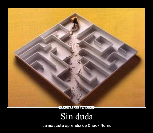 Sin duda - 