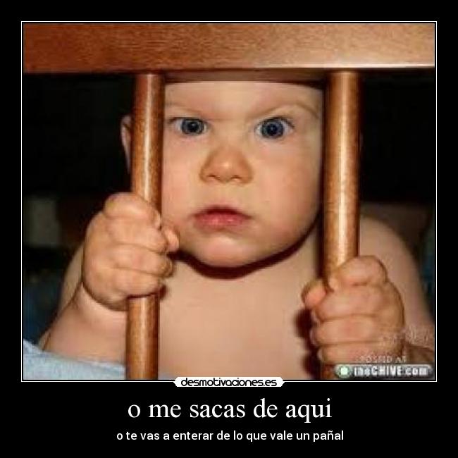 o me sacas de aqui - o te vas a enterar de lo que vale un pañal