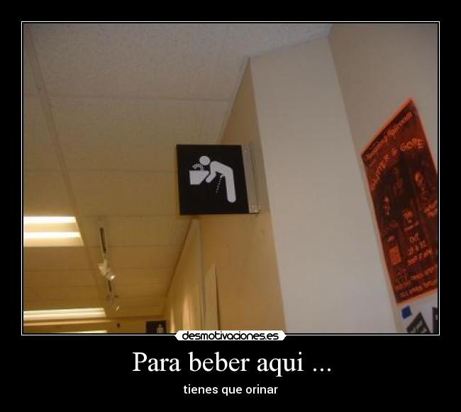 Para beber aqui ... - tienes que orinar