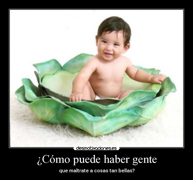 ¿Cómo puede haber gente - que maltrate a cosas tan bellas?