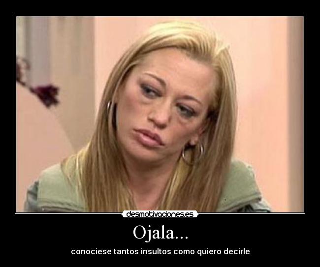 Ojala... - conociese tantos insultos como quiero decirle