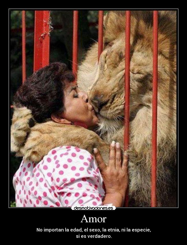 Amor - No importan la edad, el sexo, la etnia, ni la especie,
si es verdadero.