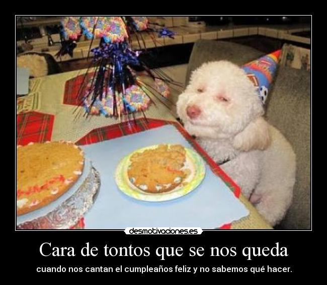 Cara de tontos que se nos queda - cuando nos cantan el cumpleaños feliz y no sabemos qué hacer.