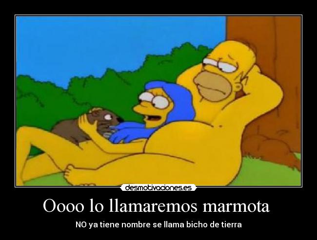 carteles homer bicho tierra desmotivaciones