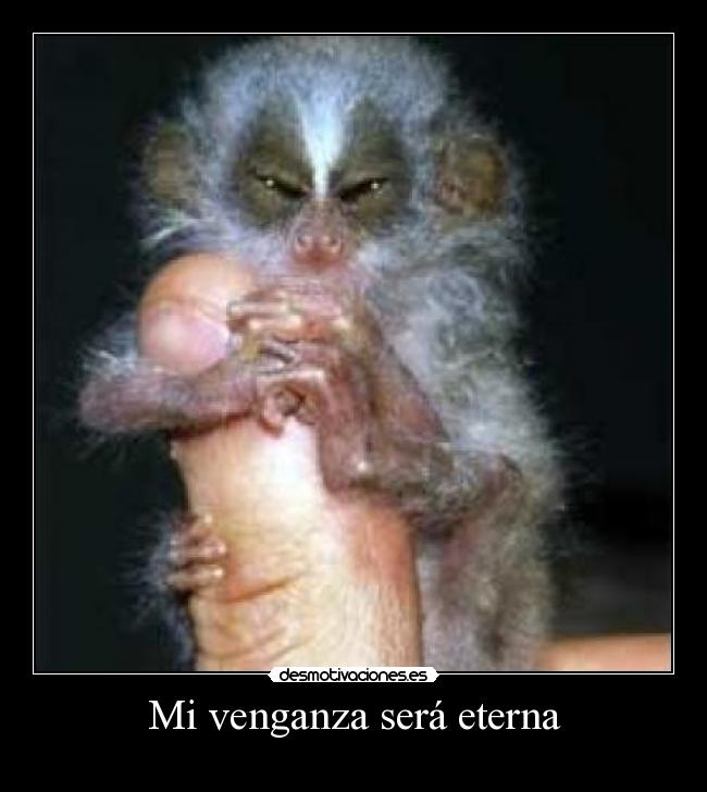Mi venganza será eterna - 