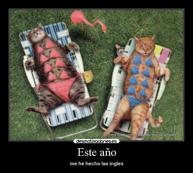 Este año - me he hecho las ingles