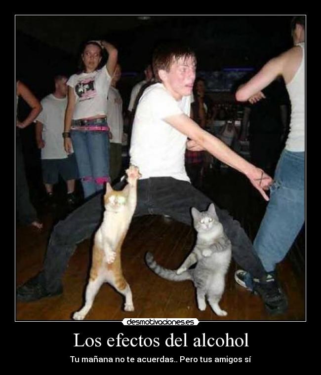 Los efectos del alcohol - 