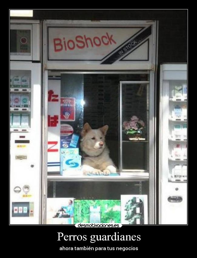 Perros guardianes - ahora también para tus negocios