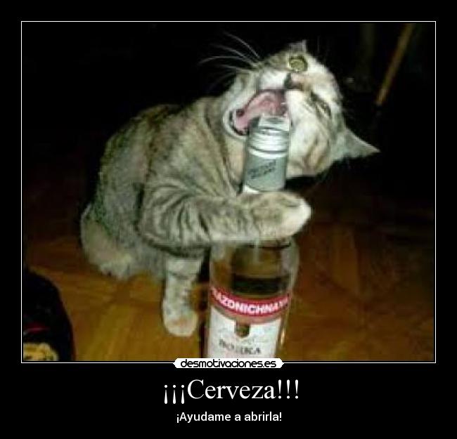 ¡¡¡Cerveza!!! - ¡Ayudame a abrirla!