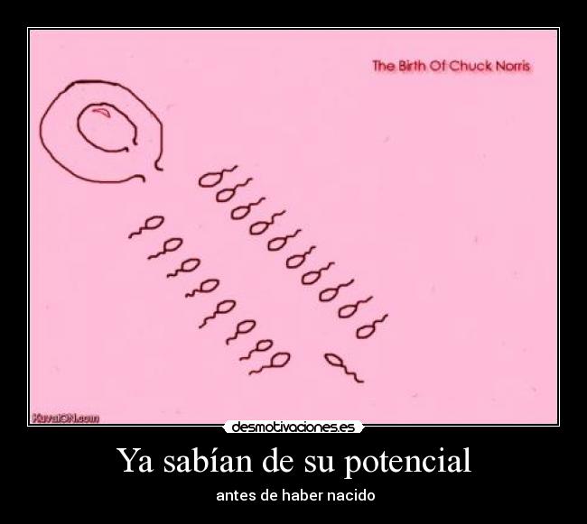 Ya sabían de su potencial - 