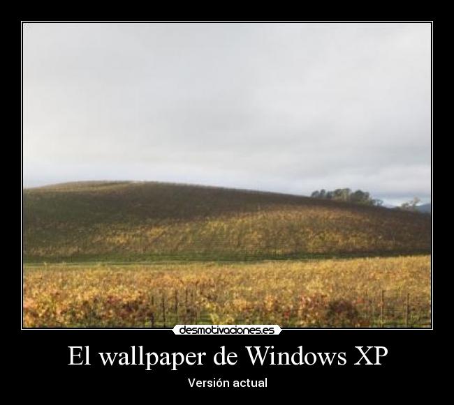 El wallpaper de Windows XP - Versión actual