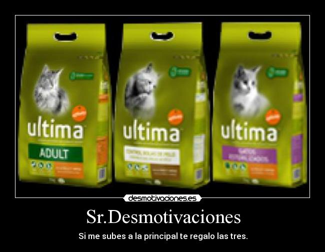 Sr.Desmotivaciones - 