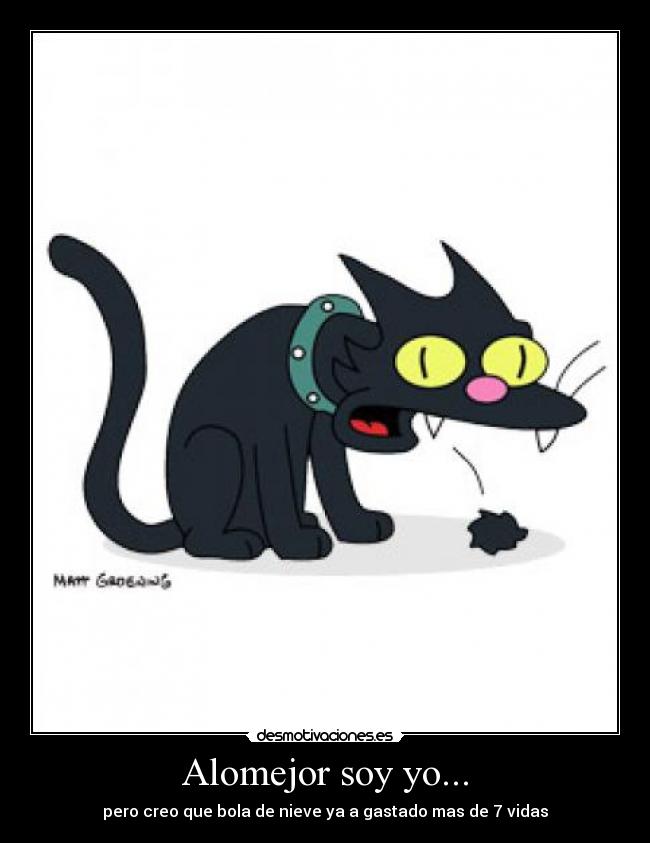 carteles gatos desmotivaciones