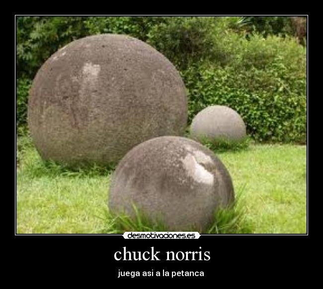 chuck norris -