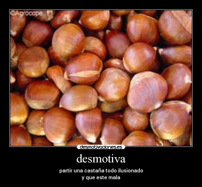 desmotiva - 