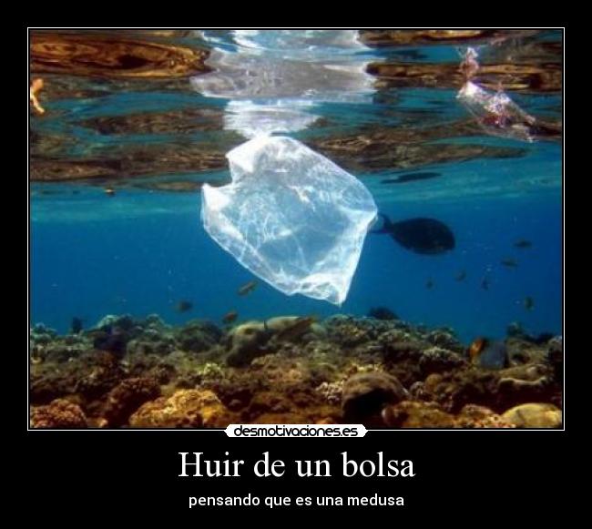 Huir de un bolsa - pensando que es una medusa