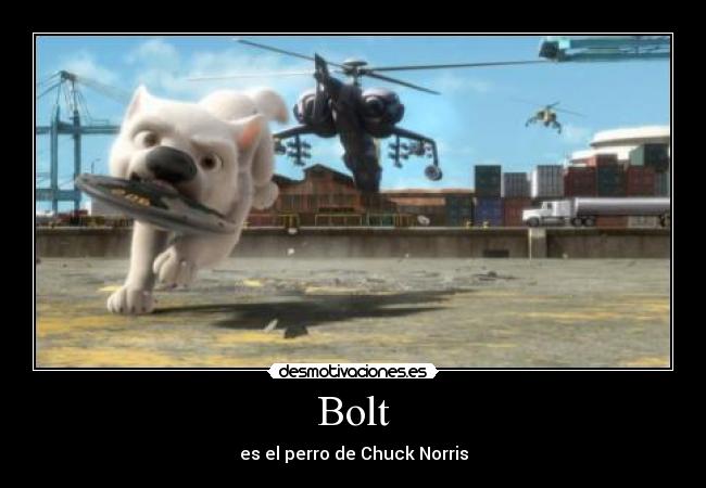 carteles bolt desmotivaciones