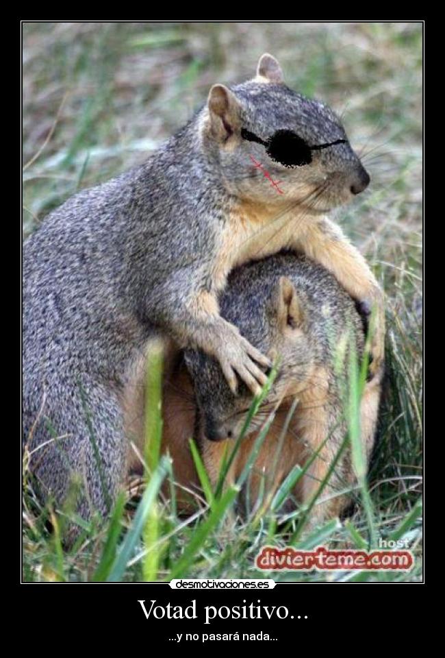 carteles ardillas desmotivaciones