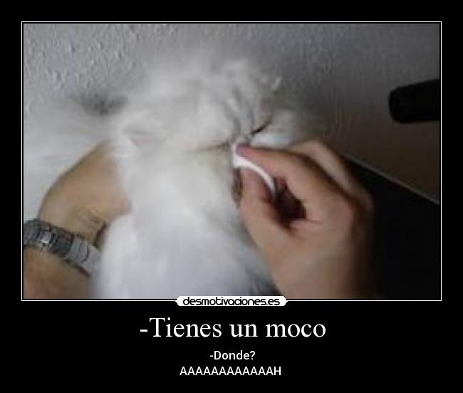 -Tienes un moco -