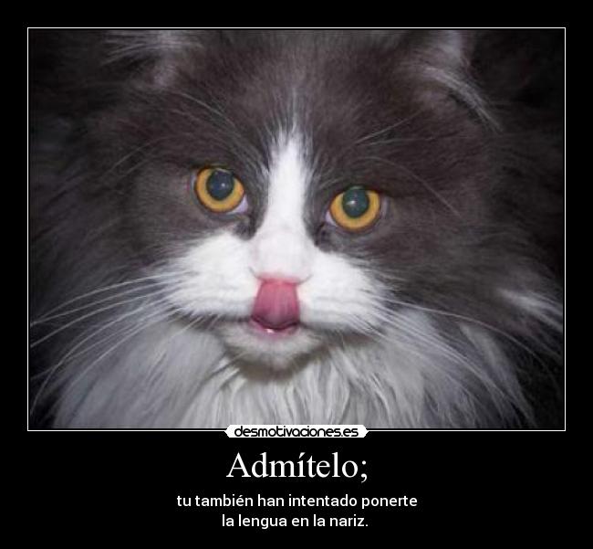 Admítelo; - tu también han intentado ponerte
la lengua en la nariz.