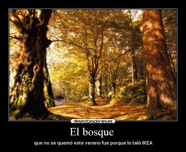 El bosque  - 