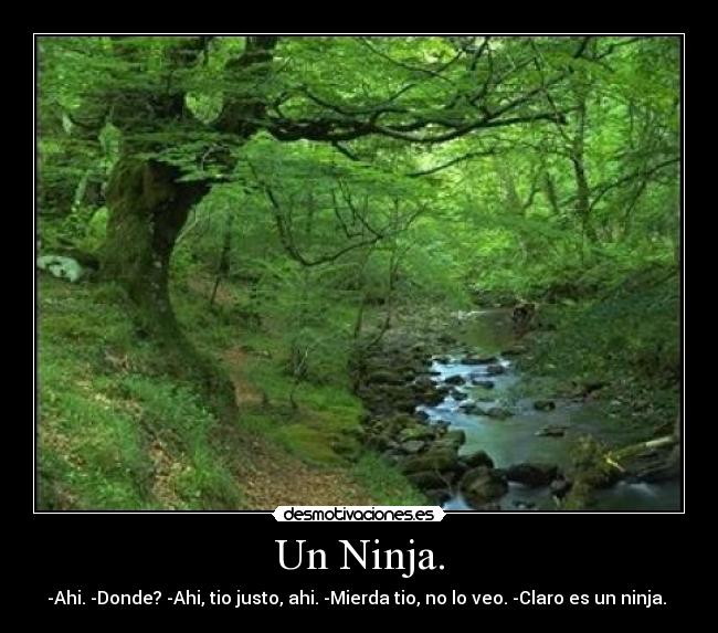 Un Ninja. - -Ahi. -Donde? -Ahi, tio justo, ahi. -Mierda tio, no lo veo. -Claro es un ninja. 