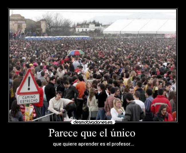 Parece que el único  - que quiere aprender es el profesor...