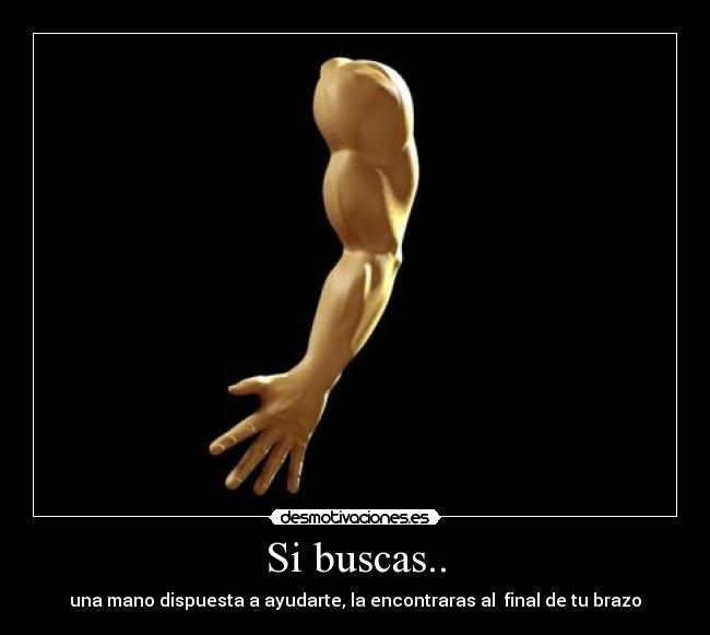 Si buscas.. - 