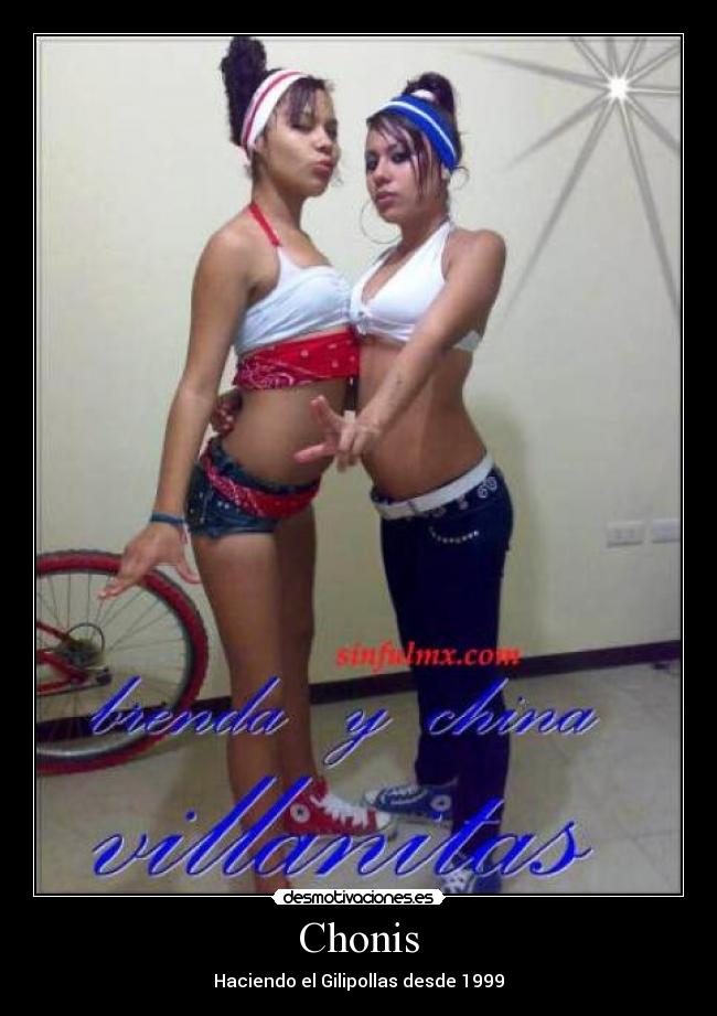 carteles canischonis desmotivaciones