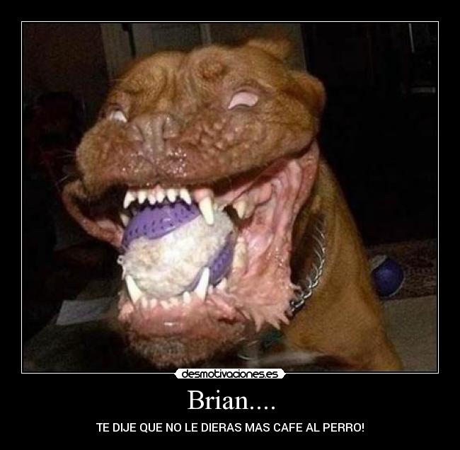 Brian.... -