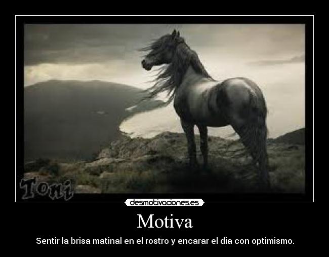 Motiva - Sentir la brisa matinal en el rostro y encarar el dia con optimismo.