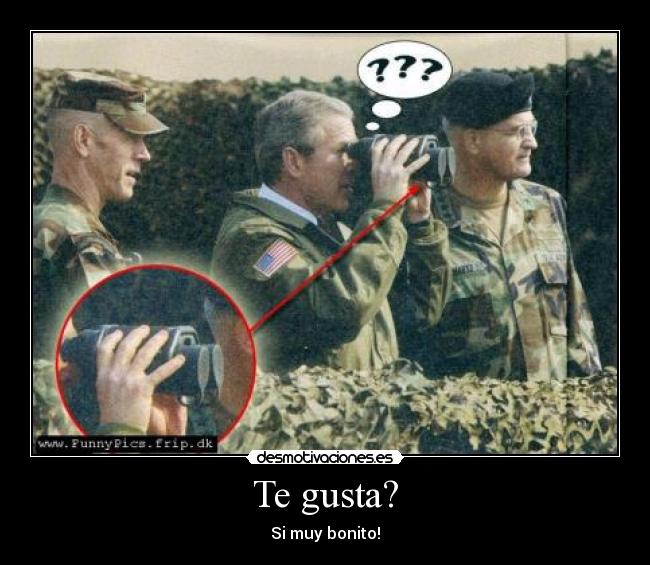 carteles bush desmotivaciones