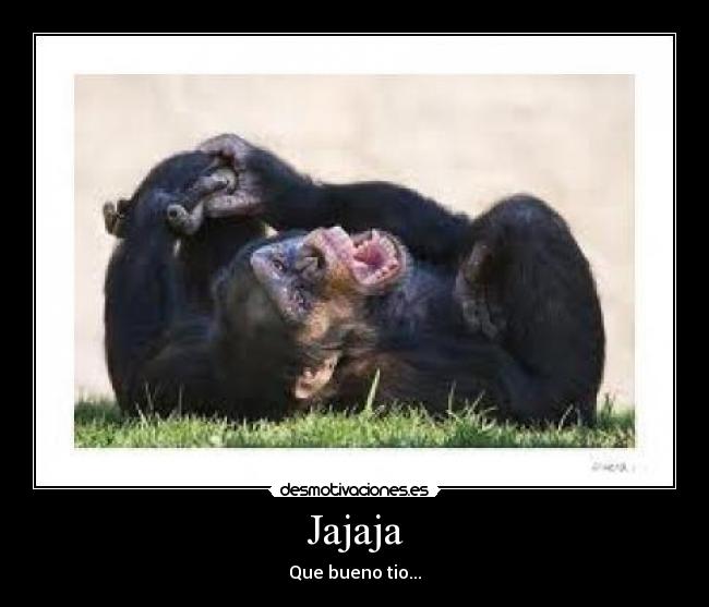 Jajaja - 