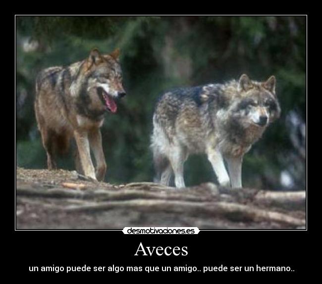 Aveces - 