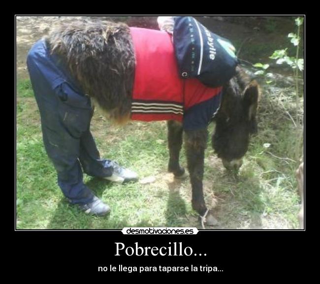 Pobrecillo... - 