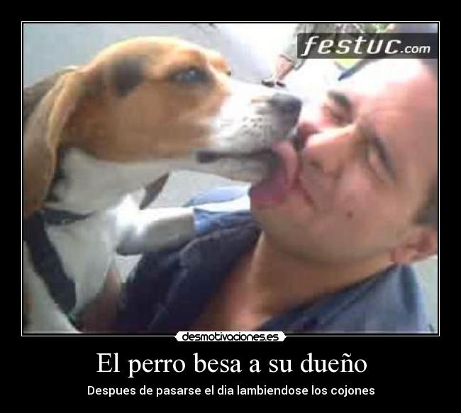 El perro besa a su dueño - 