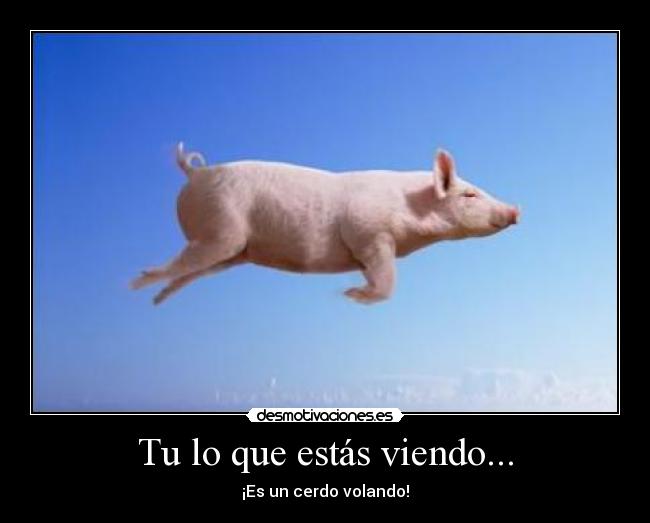 Tu lo que estás viendo... - ¡Es un cerdo volando!