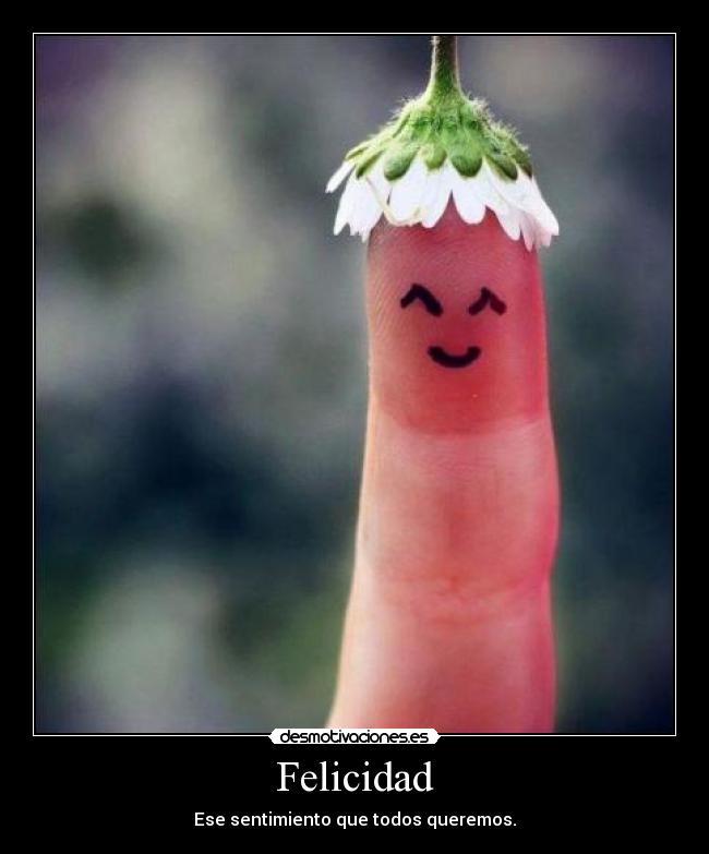 carteles felicidad felicidad desmotivaciones