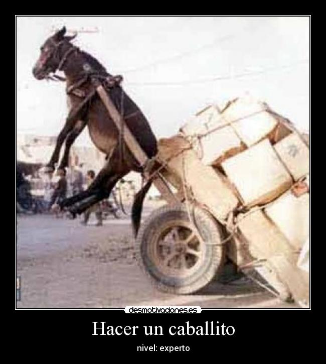 Hacer un caballito - 