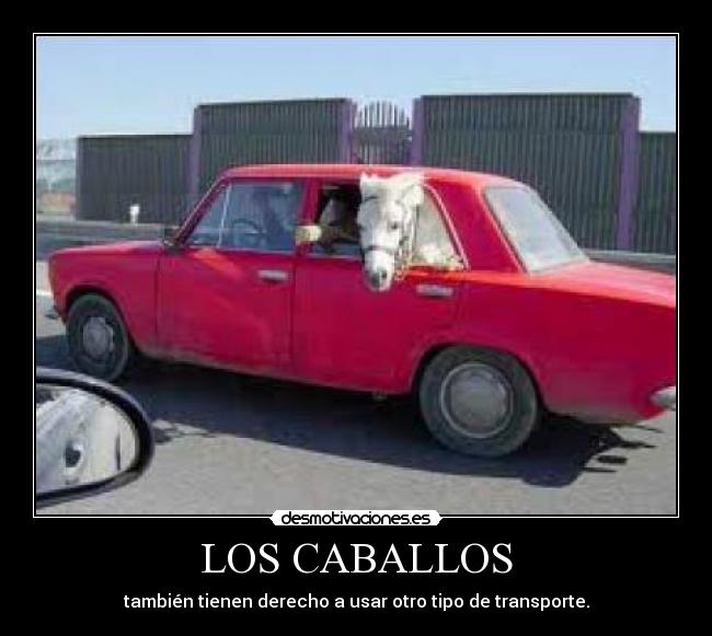 LOS CABALLOS - también tienen derecho a usar otro tipo de transporte.