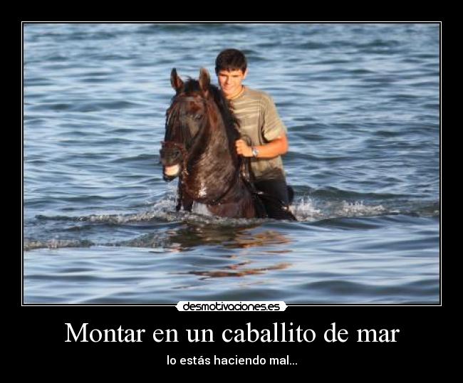 Montar en un caballito de mar - 