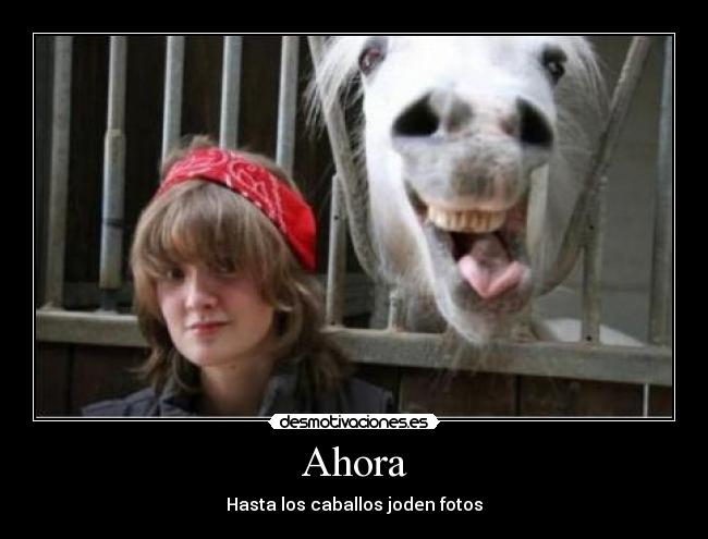 Ahora - Hasta los caballos joden fotos